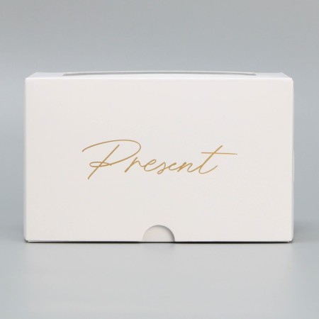Capcake box, confectionery packaging is bilateral, 2 cells, “Cosmos”, 16 x 10 x 10 cm-2