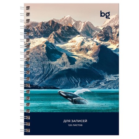 Note book A6, 120 sheets in a cage on the crest "Beautiful View", a solid cover, glossy lamination, mix-2
