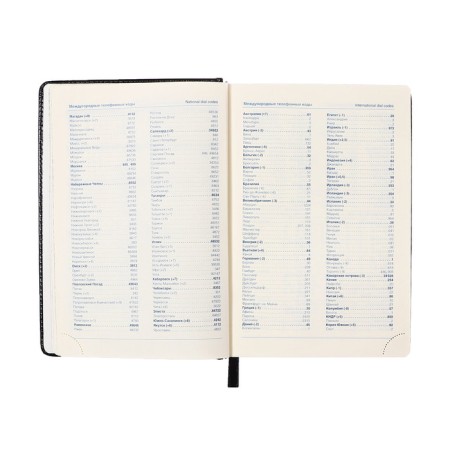 Dated diary 2024, A5, 168 sheets in the ruler, the leatherette "Nebraska", gold cut, black-7