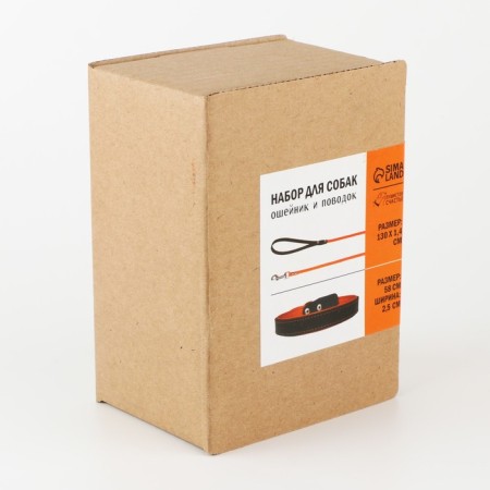 Set of a collar (58x2.5 cm) and a leash (130x1.4 cm) from eco -leather, black with orange-7