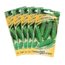 Cucumber seeds 