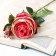 Artificial flowers "Rose Trio" 10x65 cm, pink