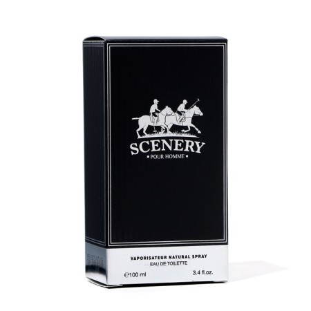 Male toilet water SCENERY, 100 ml-4