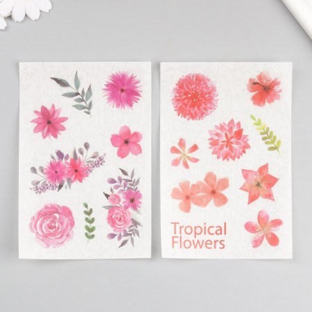 Stick paper "Fragrant flowers" set of 6 sheets 18.6x10 cm-2