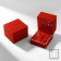 The case is velvet for two rings "lace", 5.5 × 6.5, red color