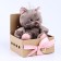 Soft toy "Marta", cat, mix