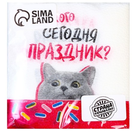 Paper napkins "Holiday", 24 x 24 cm, 20 pcs-1