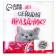Paper napkins "Holiday", 24 x 24 cm, 20 pcs