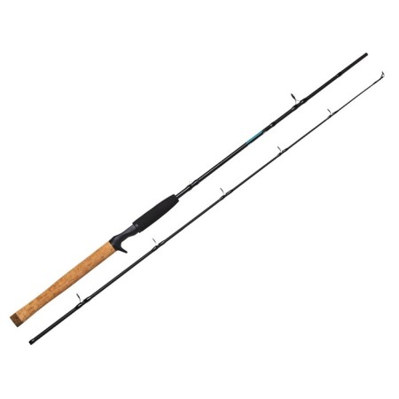 Salmo Aggressor Jerk 070, test 20-70, length 1.8 m.
