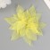 Leaves skeletered for creativity "yellow" set 20 pcs h = 6-6.5 cm