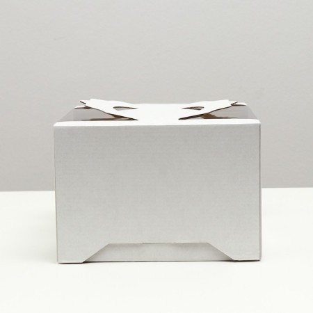 Box for cake 2 windows, with handles, white, 21 x 21 x14 cm-2