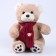 New Year's soft toy "Little Friend", a bear with a pink scarf