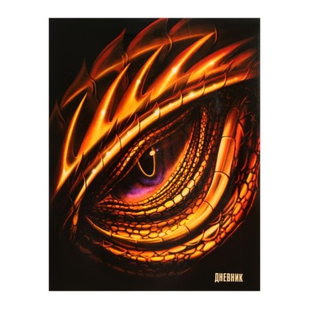 Diary for grades 5-11 "Dragon", integral cover, glossy lamination, 48 sheets