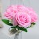 Bouquet-fool "Freshness", 7 pcs., Roses