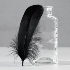 A set of feathers of the goose 13-18 cm, 20 pcs, black
