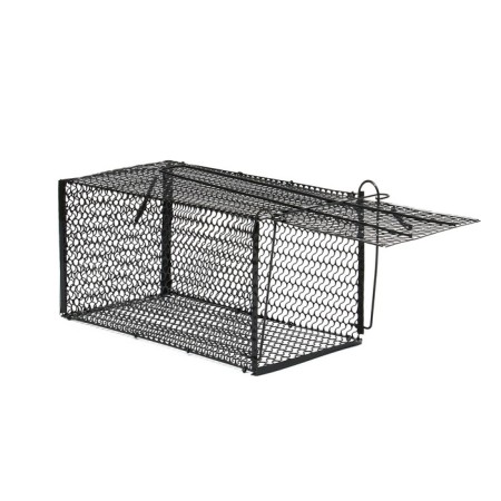Rat, 36 × 17 × 17 cm, metal, Greengo