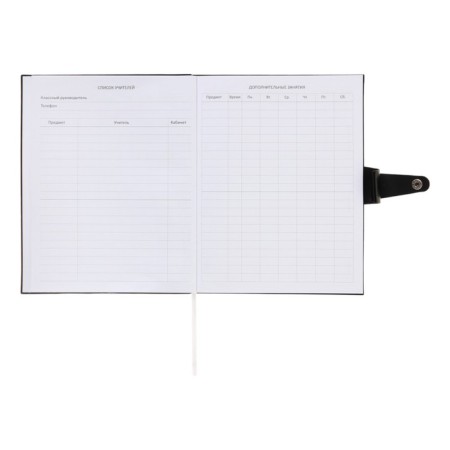 Universal diary for grade 1-11 Favourite. Black, soft cover, artificial leather, foil embossing, liesse, 80 g/m2-11