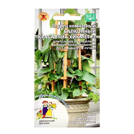 Cucumber seeds "Handsome Hikmet", for balconies and window sills, F1, 6 pcs-2