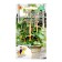 Cucumber seeds "Handsome Hikmet", for balconies and window sills, F1, 6 pcs