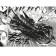 One-Punch Man 13. Book 24-25. Technory. Unknown power. One