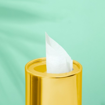 Napkins in a tube 50 pcs, 2 layers "gold"-2