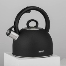 A kettle with a whistle Nadoba Anesa, 2.5 l