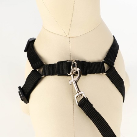 Set "Basis", leash 120 x 1.5 cm, OG 32-46 cm, black-1