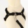 Set "Basis", leash 120 x 1.5 cm, OG 32-46 cm, black
