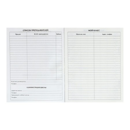 Diary for grades 5-11, "football", a solid cover 7BC, glossy lamination, 48 sheets-6