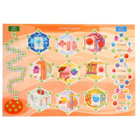 Board game "Quiz. How does a person work? ”, 7-12 years old-2