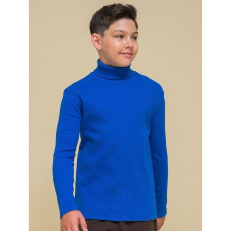 Turtleneck for the boy Pelican, height 116 cm, color ultramarin-1