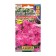 Flowers of Petunia "Mambo", F1, pink multi -flowered, test tube Hem Genetics, 7 pcs