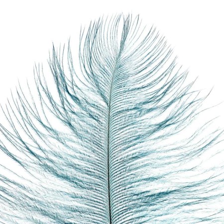 Feather for decor, length from 45 to 50 cm, color is powdered-1