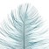 Feather for decor, length from 45 to 50 cm, color is powdered