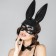 Carnival set "Oblast Bunny" mask, butterfly