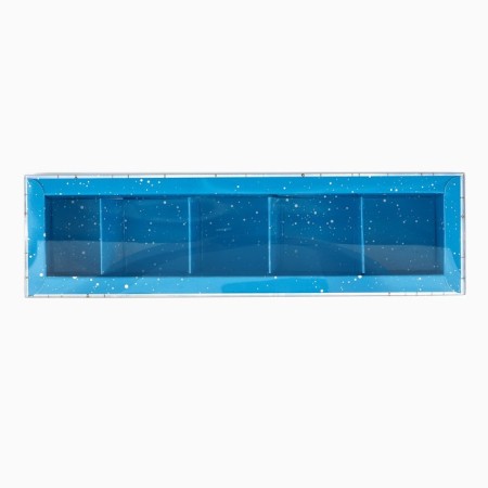 Box for 5 sweets with cells "Frosty luxury", 6 x 23 x 3 cm, New Year-2