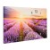 Carty clock wall interior "lavender field", silent, 35 x 60 cm