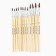 Drawing brush, set of protein round, 12 pcs. No. 1.2,3,4,5,6,7,8,10,11,12 Van Gogh