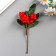 Decor for creativity "Berry Brush" 12 cm