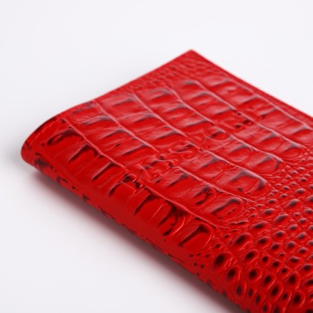 Cover for passport, kayman, red color-3