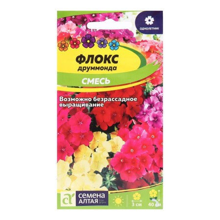 Flowers Flox Drummond, a mixture of colors, 0.1 g