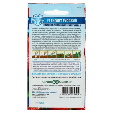 Strawberries "giant Russian", f1, series Russian hero, 5 pcs-1
