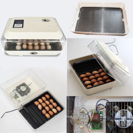 Incubator, 24 eggs, automatic coup, 220 V, Janoel-3