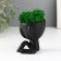 Kashpo concrete mini "Mr. Green" Mizaru with moss black 5.5x6.5x6.5 cm (moss green stabil)