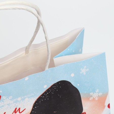Gift Craft Package "Warm up", 25 x 22 x 12 cm, New Year-5