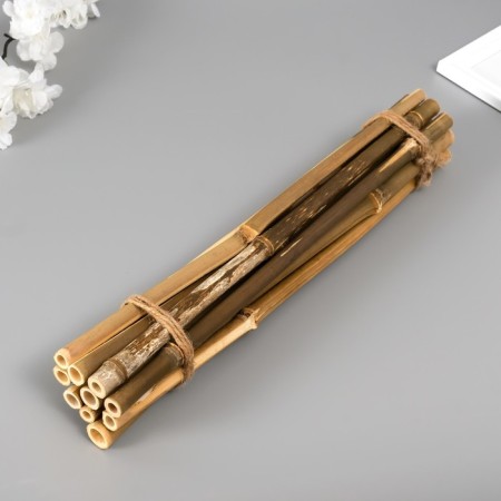 Decorative bamboo 40 cm, 10 pcs