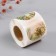 Stick Paper "Camels" d = 3.8 cm 252 pcs in roll