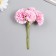 Flowers for decorating "Astra Pale pink" 1 bouquet = 6 colors 10 cm