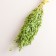 Set of dried flowers "oats", banch length 60-65 (+/- 6 cm), green
