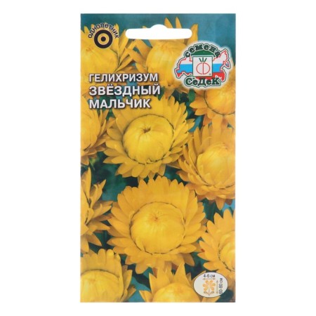 Flower seeds with helichrizum "Star boy", Euro, 0.2 g